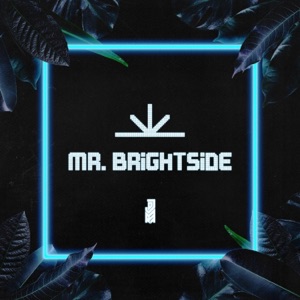 Mr. Brightside - Single