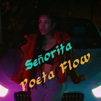Señorita - Single