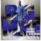 Playa Playa - Big Mike lyrics