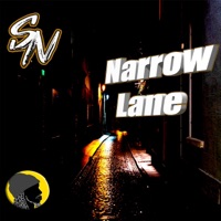 Narrow Lane (feat. Studio Nicktendo) - Single - Avidan Smith