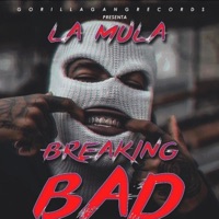 Breaking Bad - Single - La Mula