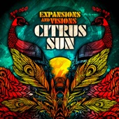 Citrus Sun - Hard Boiled