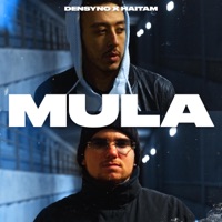 Mula - Single - Densyno & Haitam