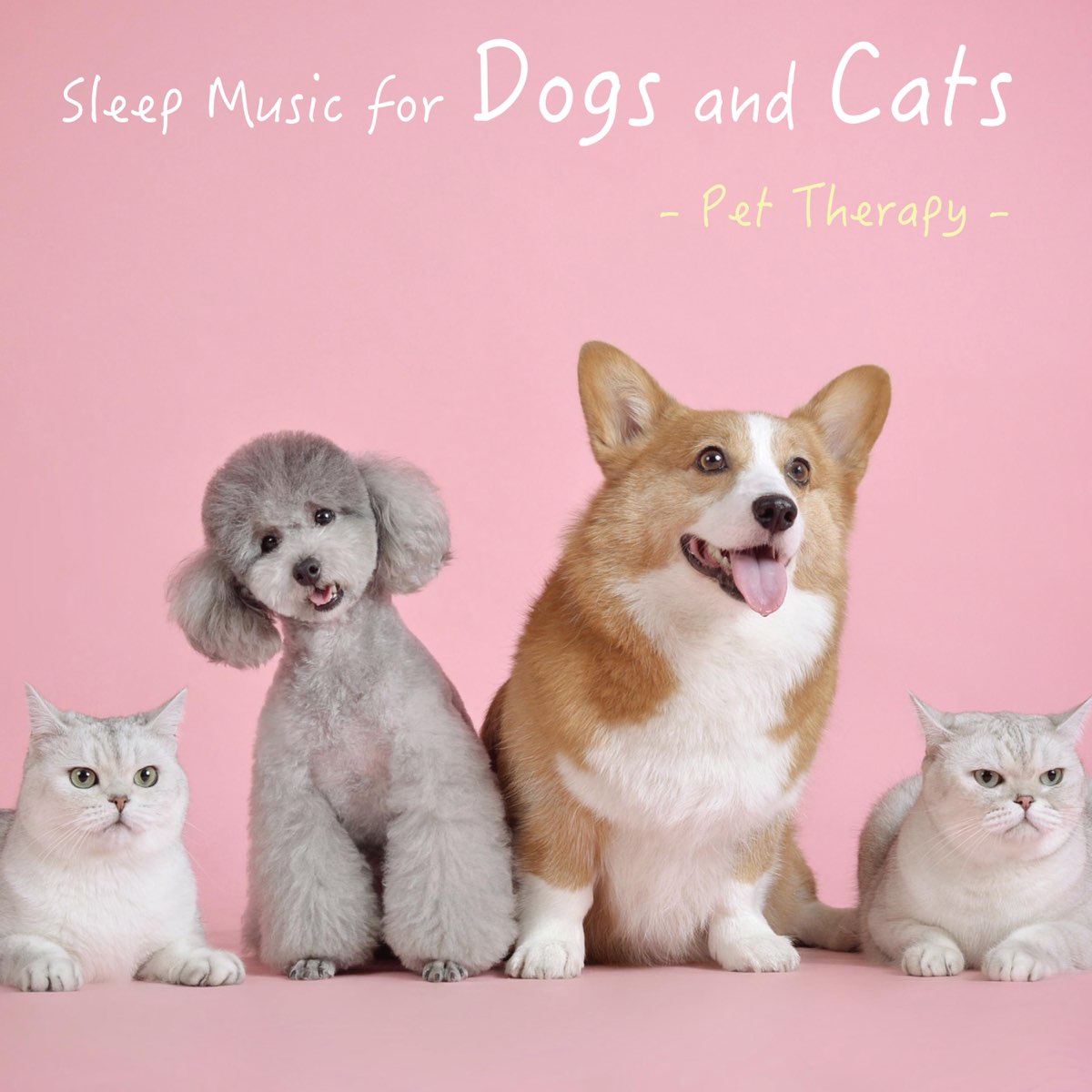 ペットのための眠れる癒しのメロディー 犬 猫のストレス解消音楽 Par Sizennooto Sur Apple Music ペットのための眠れる癒しのメロディー 犬 猫のストレス解消音楽 Par Sizennooto Sur Apple Music