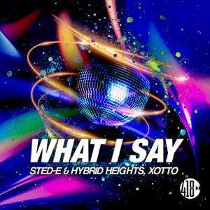 What I Say - Single