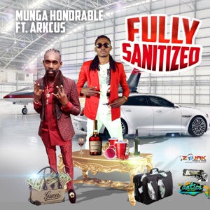 Fully Sanitized (feat. Arkcus)