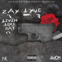 Livin' Like Dat - Single - Zay Lyve