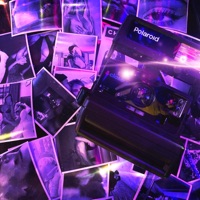 Polaroid - Single - GOODY