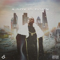 A SOV Is Born - Dn9ne