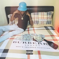 More Money Than Followers - Young N & Deedotwill