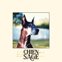 Pavlov feat. Raccoon