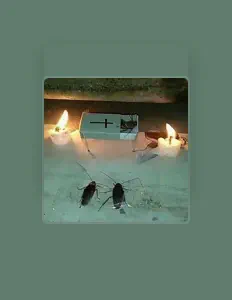 Dengarkan ChamaKaze, tonton video musik, baca bio, lihat tanggal tur & lainnya!