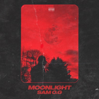 Moonlight - Single