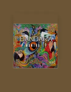 Dandaraを聴いたり、ミュージックビデオを鑑賞したり、経歴やツアー日程などを確認したりしましょう！