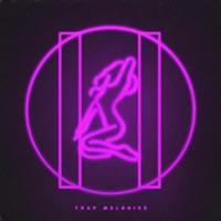 Trap Melodies, Vol. 2 - Hunnid Gemz