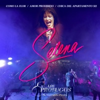 Selena Popurrí - Single - Los Profugos de Corral de Piedra