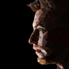 Listen to Henri Werner, watch music videos, read bio, see tour dates & more!