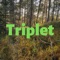 Triplet - FN-N lyrics