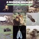 A Musical Wildlife Vol 4 Eccentric Birds Insects 2020 Remastered Version