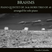 Brahms: Piano Quintet, Op. 34 & Horn Trio, Op. 40 (Arr. for Solo Piano) artwork