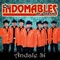 Ándale Sí - Los Indomables De Cedral lyrics