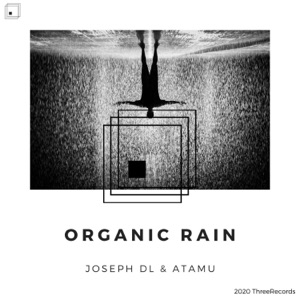 Organic Rain - Single