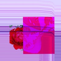 Fall For You (feat. Tiggs Da Author) - Single - Jordy