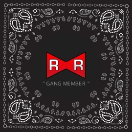 Gang Member 9ty1 & GRMV