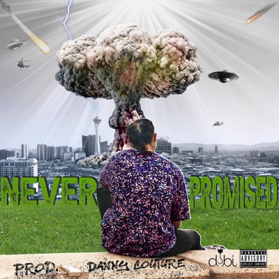 Never Promised - Single