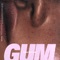 Gum - Sam Setton lyrics