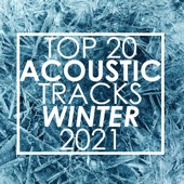 Top 20 Acoustic Tracks Winter 2021 (Instrumental) artwork