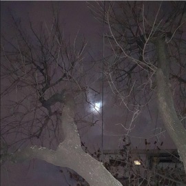 Hardtobelieve lonelywalk