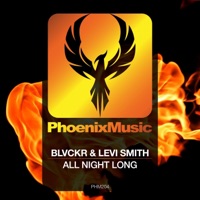 All Night Long - Single - Blvckr & Levi Smith