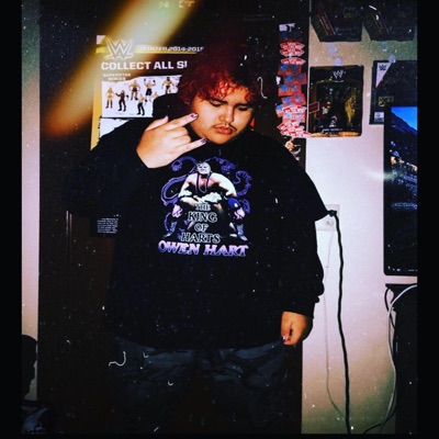 Shy Guy Falls - Single