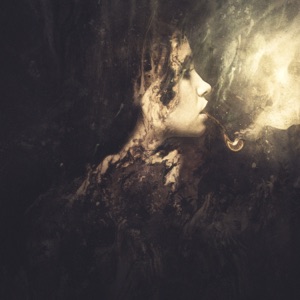 Echo / They Want Us to Fall Down - Single