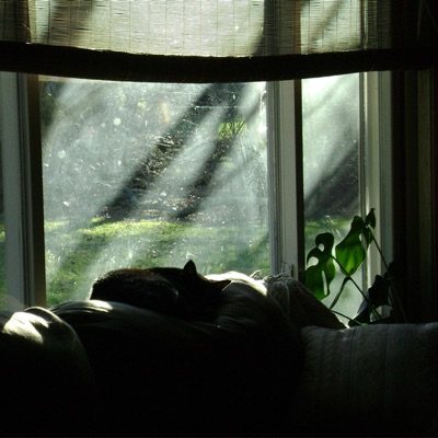 Oh, alright - Single