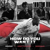 How Do You Want It (feat. Krept & Konan) artwork