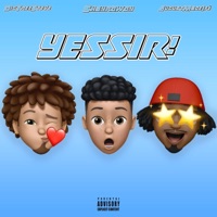 Yessir! (feat. BigTreeSteve & AugustMadeIfé) - Single - Shayrowdy
