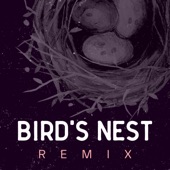 Shreem - Bird's Nest (Remix)