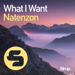 What I Want - Single