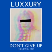 Don't Give Up (I Believe in You) artwork