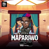 Ma Pariwo artwork