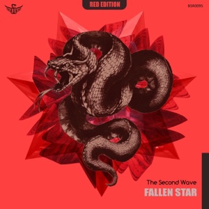 Fallen Star - Single