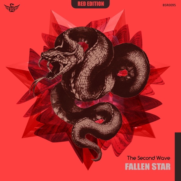 Fallen Star - Single