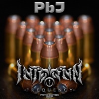 PbJ - Single - Internal Frequency