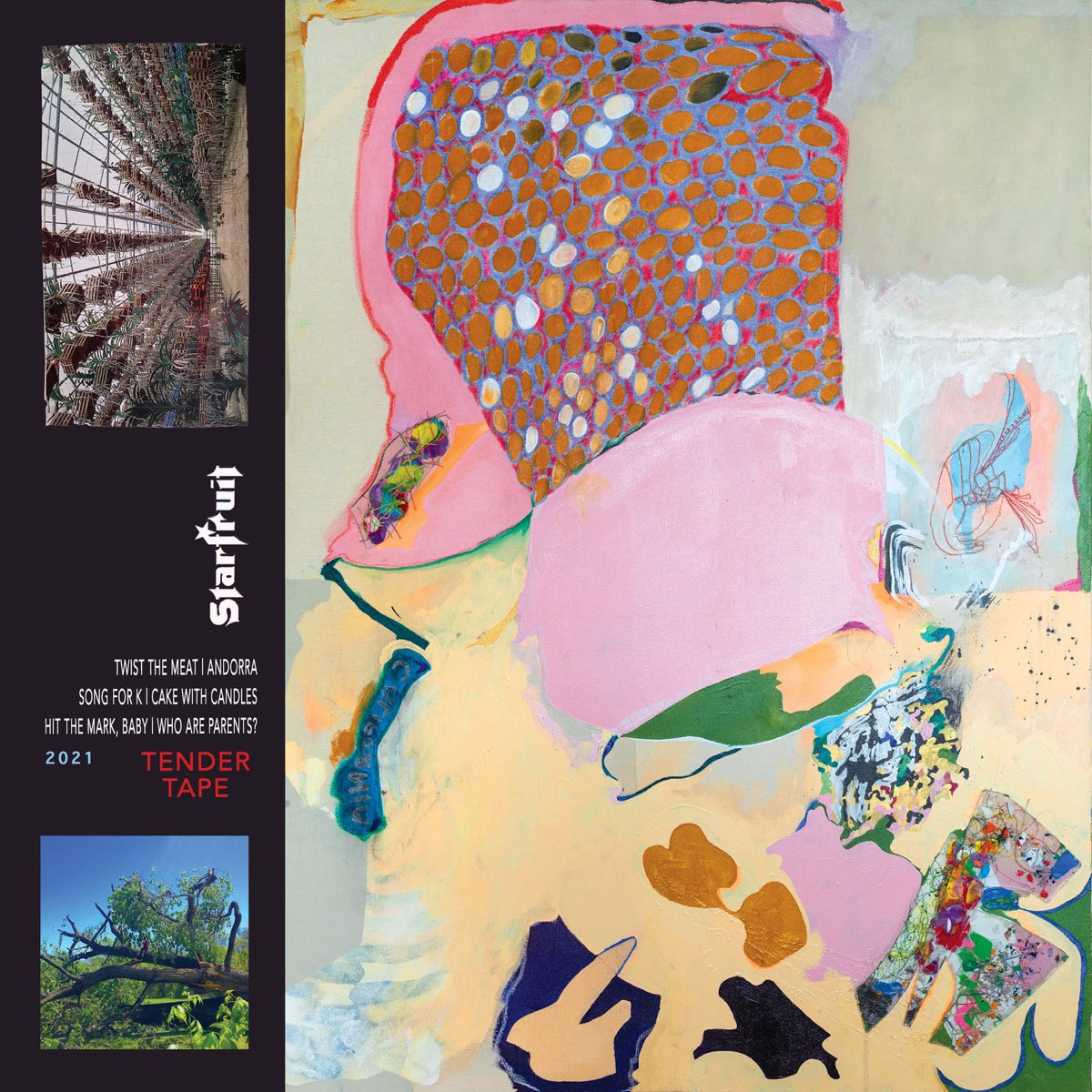‎Tender Tape EP Album par Starfruit Apple Music