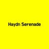 Haydn Serenade - Single