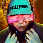 What I Want artwork