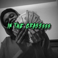 In the Grass - Single - Rixh!