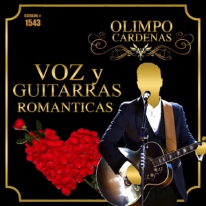 Voz y Guitarras Románticas